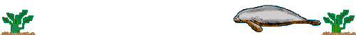 Prop Guard Animation
